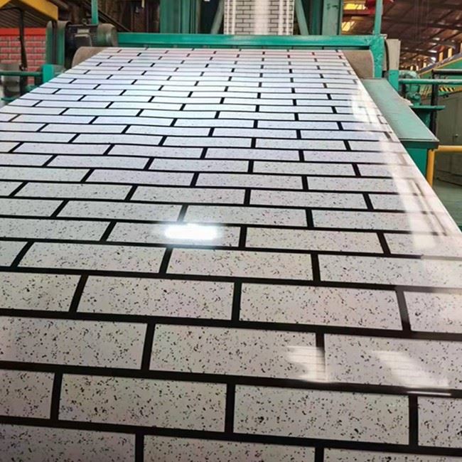 Customized Printed Prepainted Steel Coil (1)